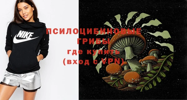 Альфа ПВП Корсаков