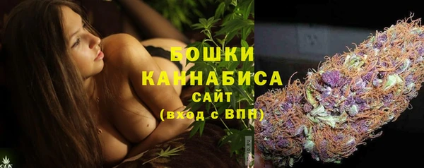 apvp Костерёво