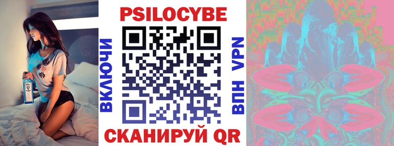 Купить закладки  Гай  Галлюциногенные грибы Psilocybine cubensis 